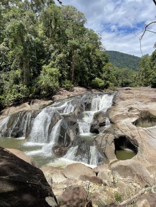 Malaysia Forest Adventure Tour
