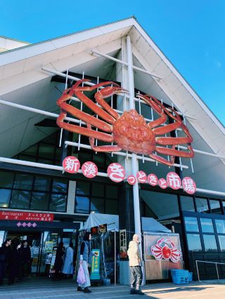 富山のカニ好きなら絶対行きたい、新湊漁師市場。