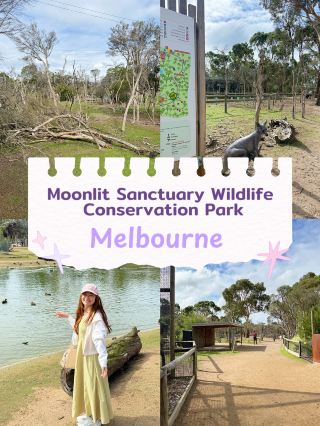 ศูนย์อนุรักษ์สัตว์ป่า Moonlit Sanctuary