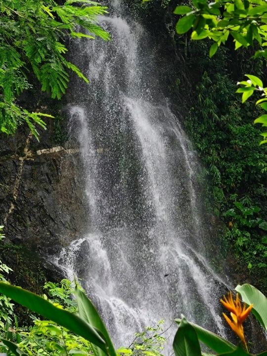 飛瀑公園 | 深圳に隠された雨上がりの滝。 | Trip.com 深セン