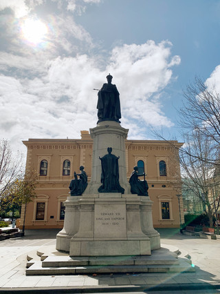 Adelaide Was the Last Place I Expected to Love
