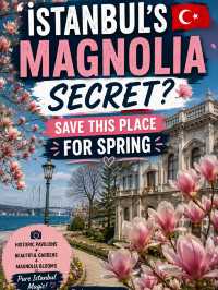 🌸🇹🇷ISTANBUL’S MAGNOLIA SECRET? SAVE THIS PLACE FOR SPRING