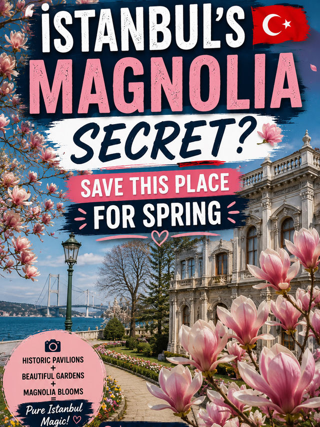 🌸🇹🇷ISTANBUL’S MAGNOLIA SECRET? SAVE THIS PLACE FOR SPRING