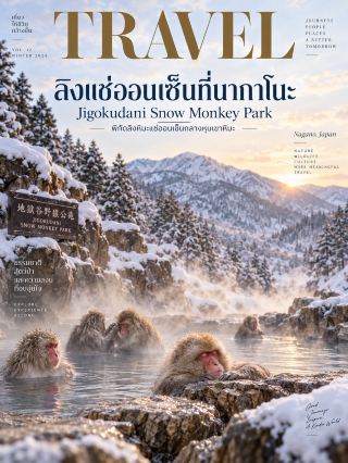     นากาโนะ Snow Monkey Park 🐒♨️ ที่นี่แหละ ลิงแช่ออนเซ็นกลางหิมะ