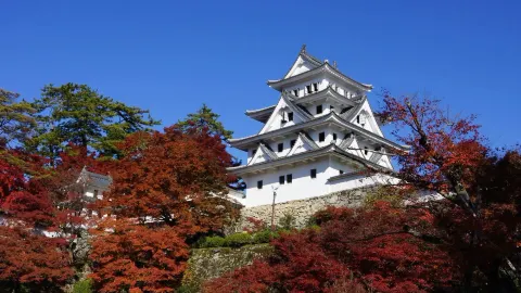 기후 가을 여행|붉게 물든 단풍에 둘러싸인 동화 속 성 。 — traveler post in 구조
