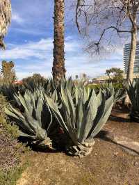 A beautiful park in Miracle Mile 