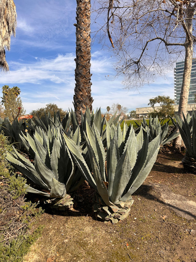 A beautiful park in Miracle Mile 