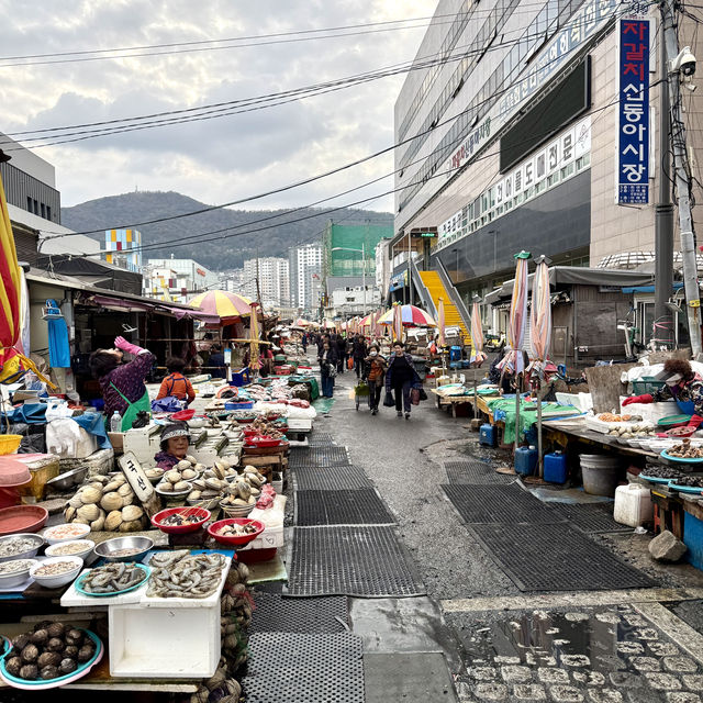 【韓国/プサン】海鮮好き必見！釜山最大のチャガルチ市場