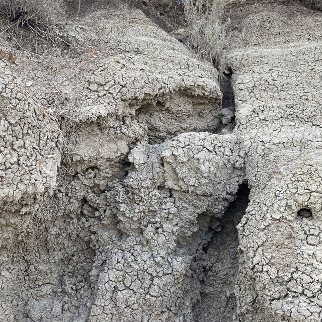 德拉姆赫勒谷 (Drumheller Valley)一日遊