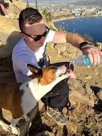 Wanna hike to the edge of the Earth…WITH DOGS? You can in Cabo 🐾🌊🔥