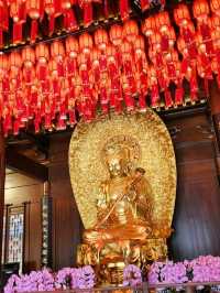 Amazing trip in Shanghai
