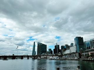 A Must-Do in Sydney! Hop on a Ferry from Circular Quay to Unlock the Most Stunning Harbor Views | Way Better Than a Sightseeing Bus!