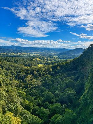 Mapleton Falls Lookout.