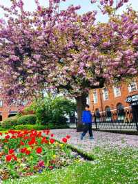 ❤西北部最幸福居住地之一🏠Bolton