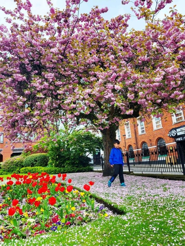 ❤西北部最幸福居住地之一🏠Bolton