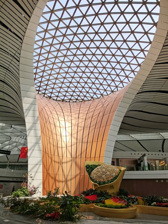 Impressive Daxing Airport  🇨🇳