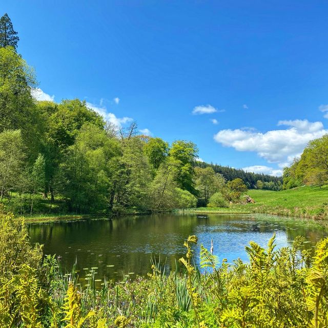 National Trust Treasure Stourhead