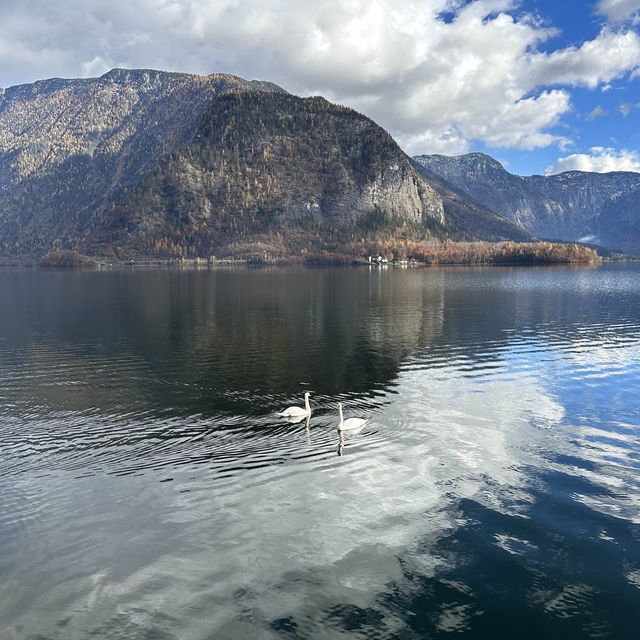 Perfect room view in Hallstat
