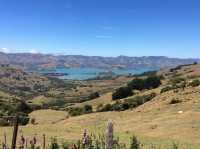 Exploring the Wonders of New Zealand