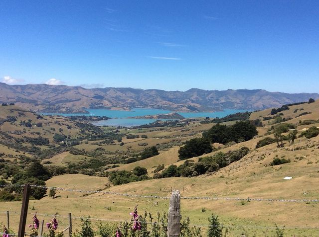 Exploring the Wonders of New Zealand