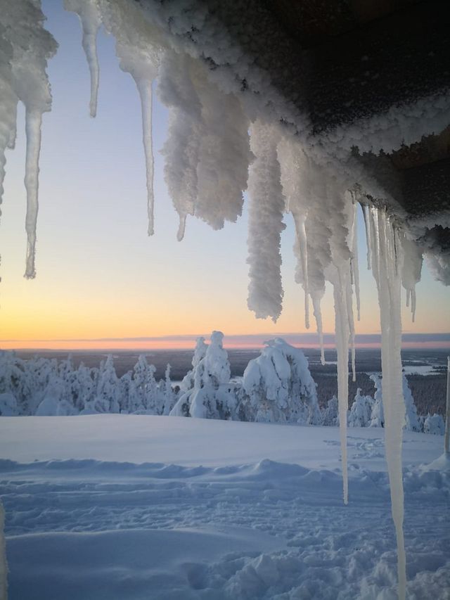 Lapland's Winter Wonderland