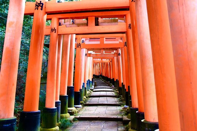 Whispers of Ancient Kyoto