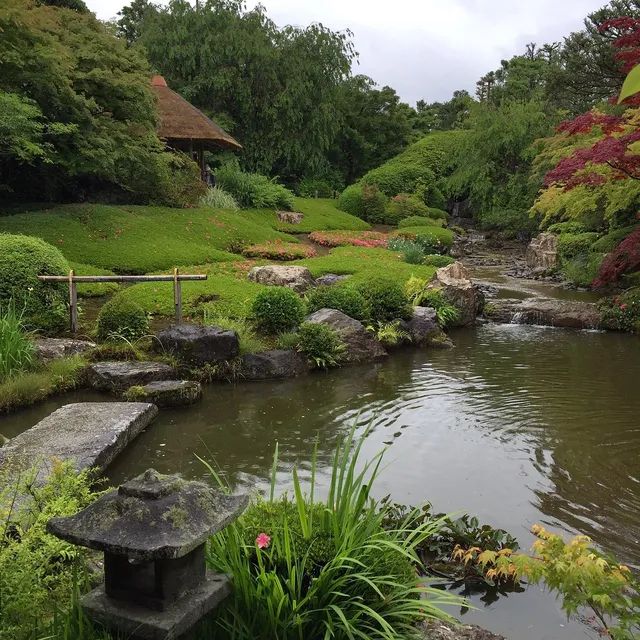 A Day in the Heart of Kyoto