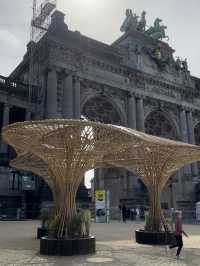 Learn While You Play at Cinquantenaire Park 