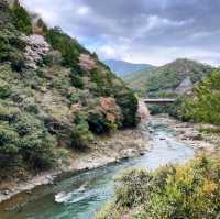 《嵯峨嵐山駅》🌸浪漫風景火車之旅🌸