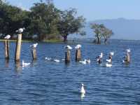 Indawgyi lake in Myanmar 🇲🇲 