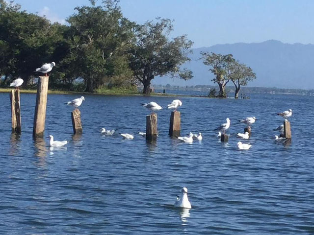 Indawgyi lake in Myanmar 🇲🇲 