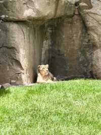 Bioparc Valencia - Spain