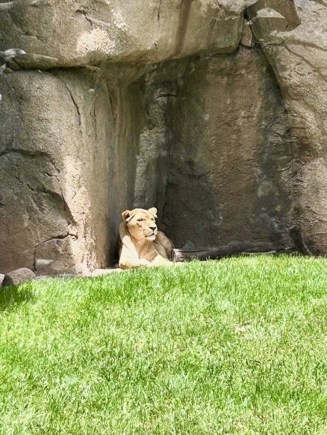 Bioparc Valencia - Spain