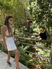 Birds park in Brazil