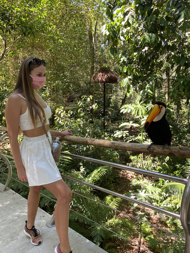 Birds park in Brazil