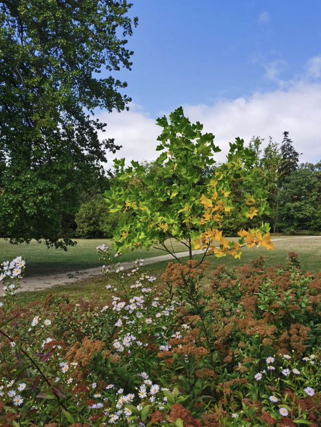 Autumn in Vrana Park 🌳