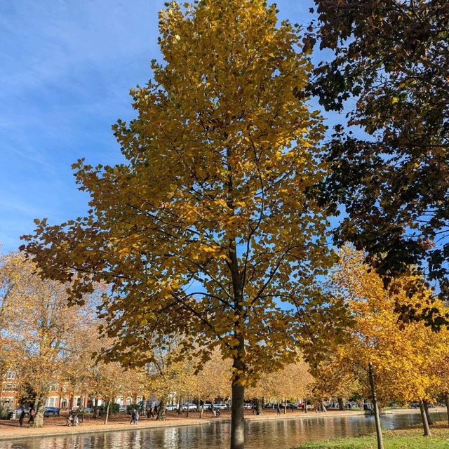 Bedford - Autumn Vibes - 1hr away from London 