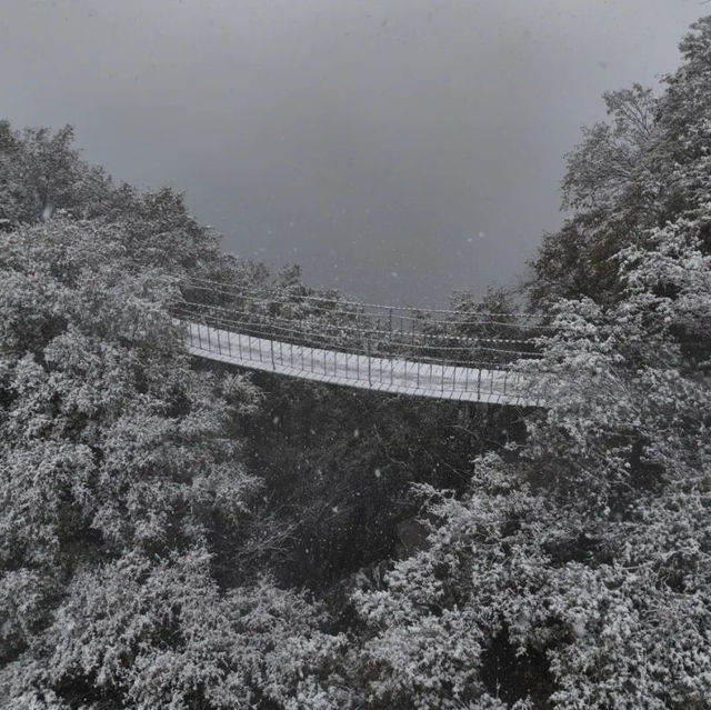 A Winter Wonderland in Xi'an: Exploring the Snow-Covered Qinling Mountains
