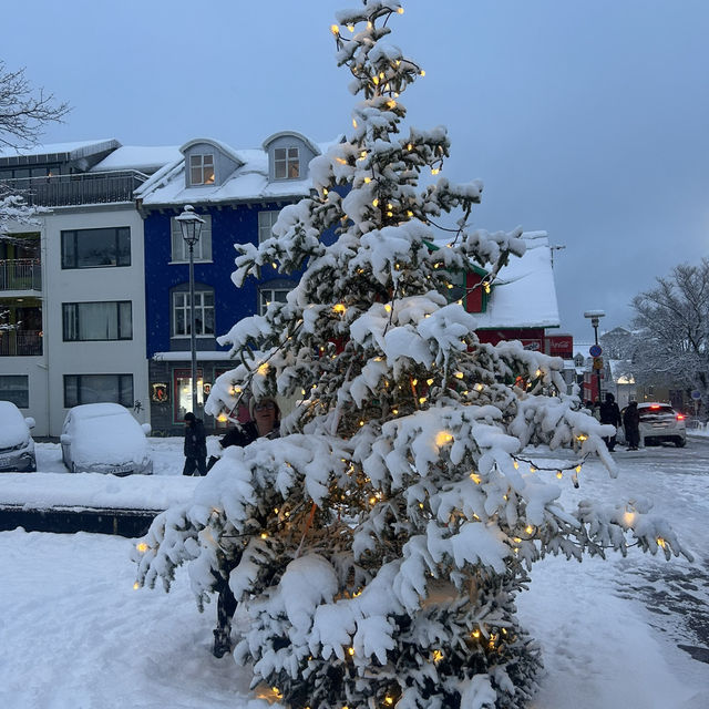 An evening in Reykjavík 