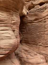 A beautiful canyon in a desert 