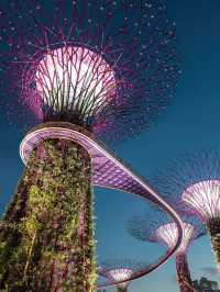 Singapore is my second home 🏠 