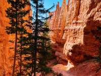 Bryce Canyon National Park – Nature’s Most Magical Theme Park!  