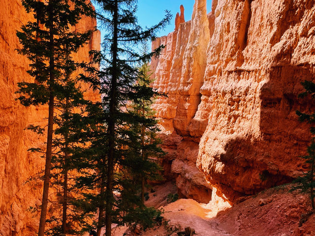 Bryce Canyon National Park – Nature’s Most Magical Theme Park!  