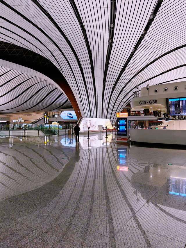✈️ Beijing Layover Adventure: From Imperial Wonders to Hidden Gems!