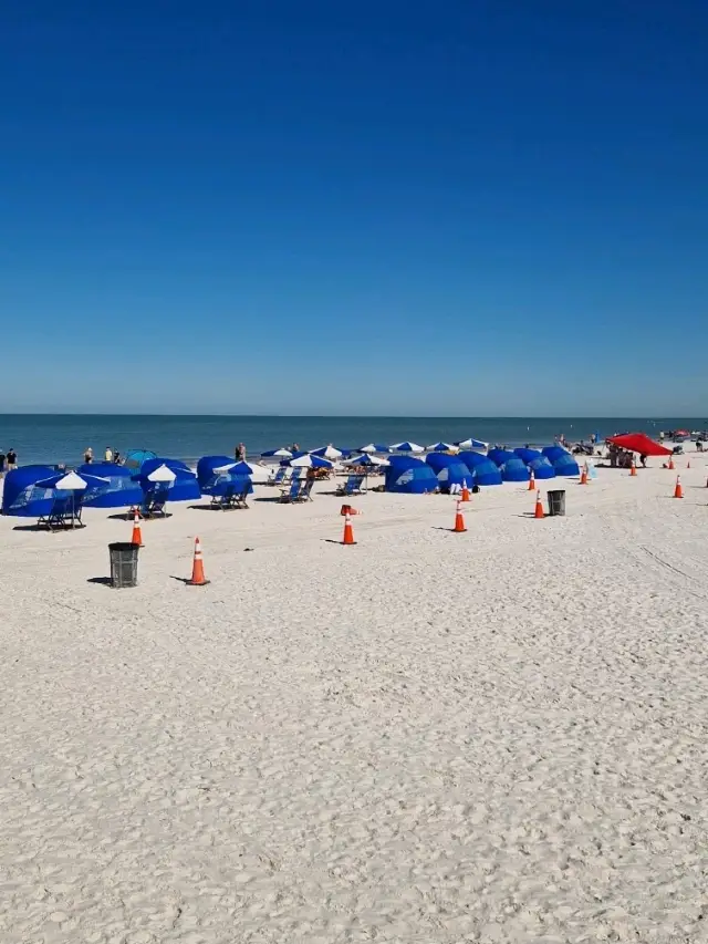 florida road trip march 25 