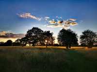 Bushy Park: A Green Oasis in the Heart of London
