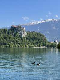 🇸🇮 斯洛維尼亞布萊德（Bled） 🚲