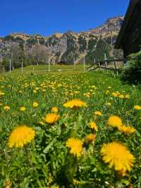 Grindelwald & Lauterbrunnen – Switzerland’s Fairytale Valley & Alpine Playground