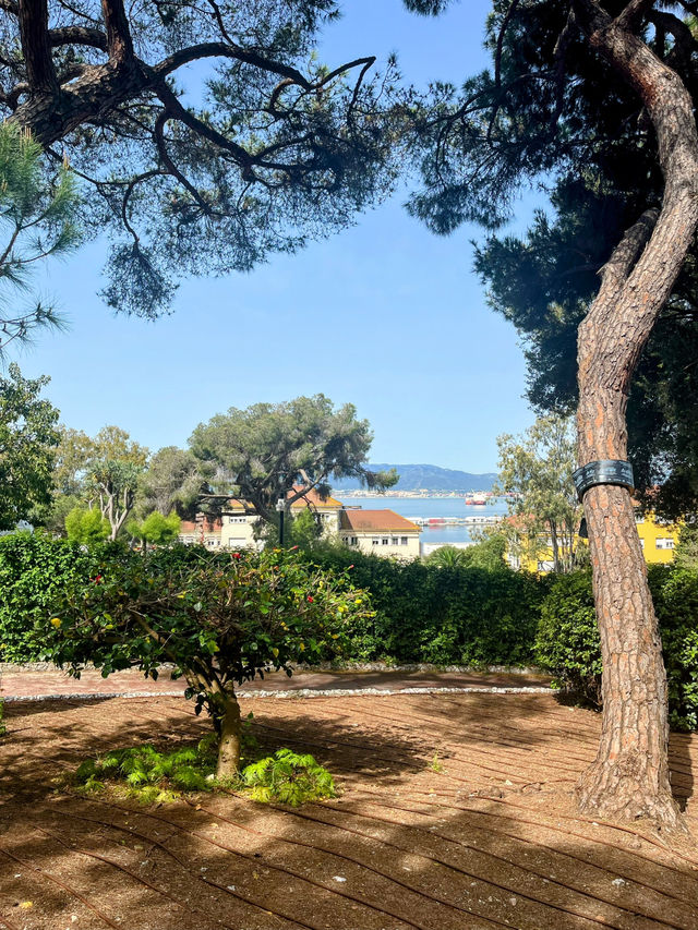A walk around the Botanic Gardens Gibraltar🇬🇮 