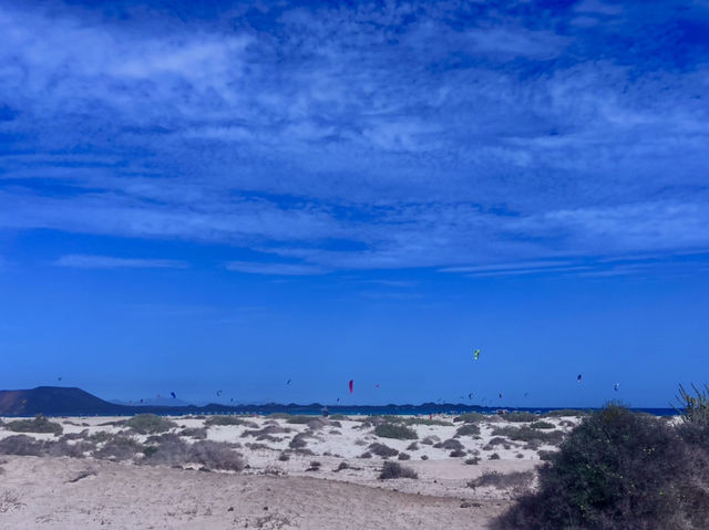 The Southern Beach + Vibes Loop 